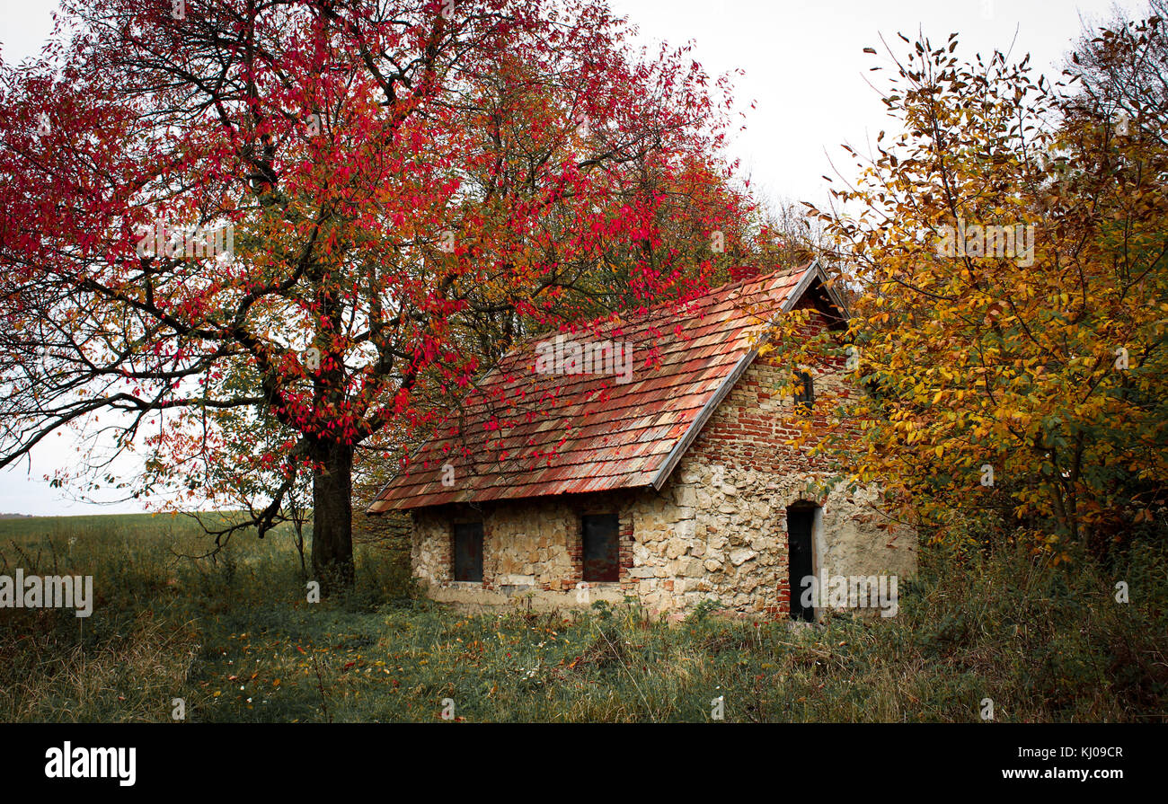 Maison fantôme dans la forêt Banque D'Images