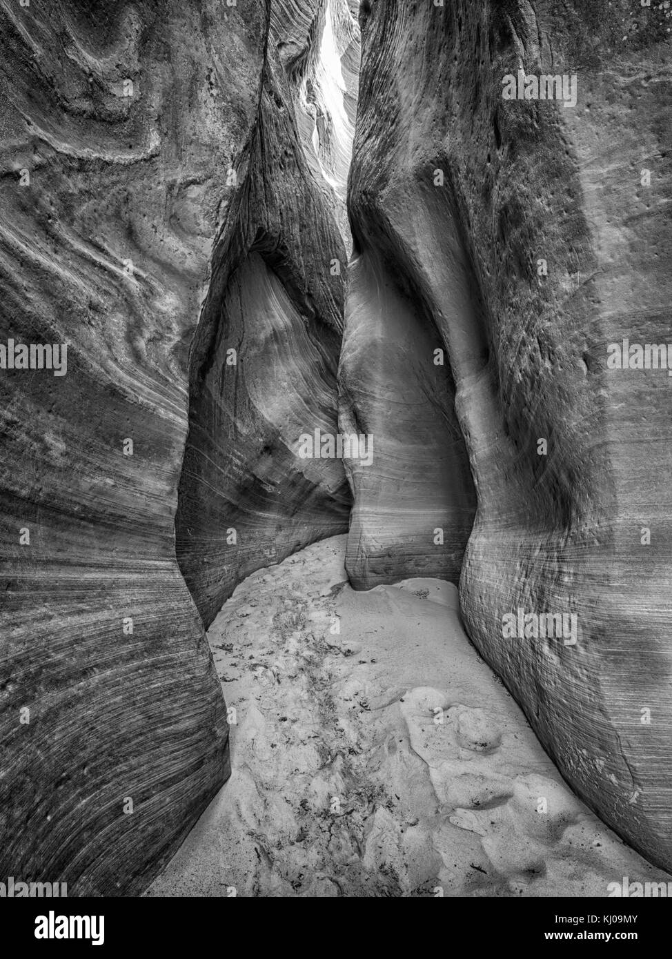 Entrée de chasseresse Canyon, près de Kanab, Utah Banque D'Images