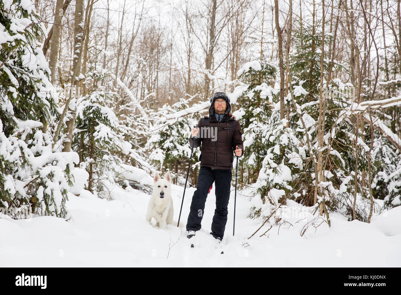 Jeune homme ski de fond dans la forêt avec chien berger blanc suisse Banque D'Images