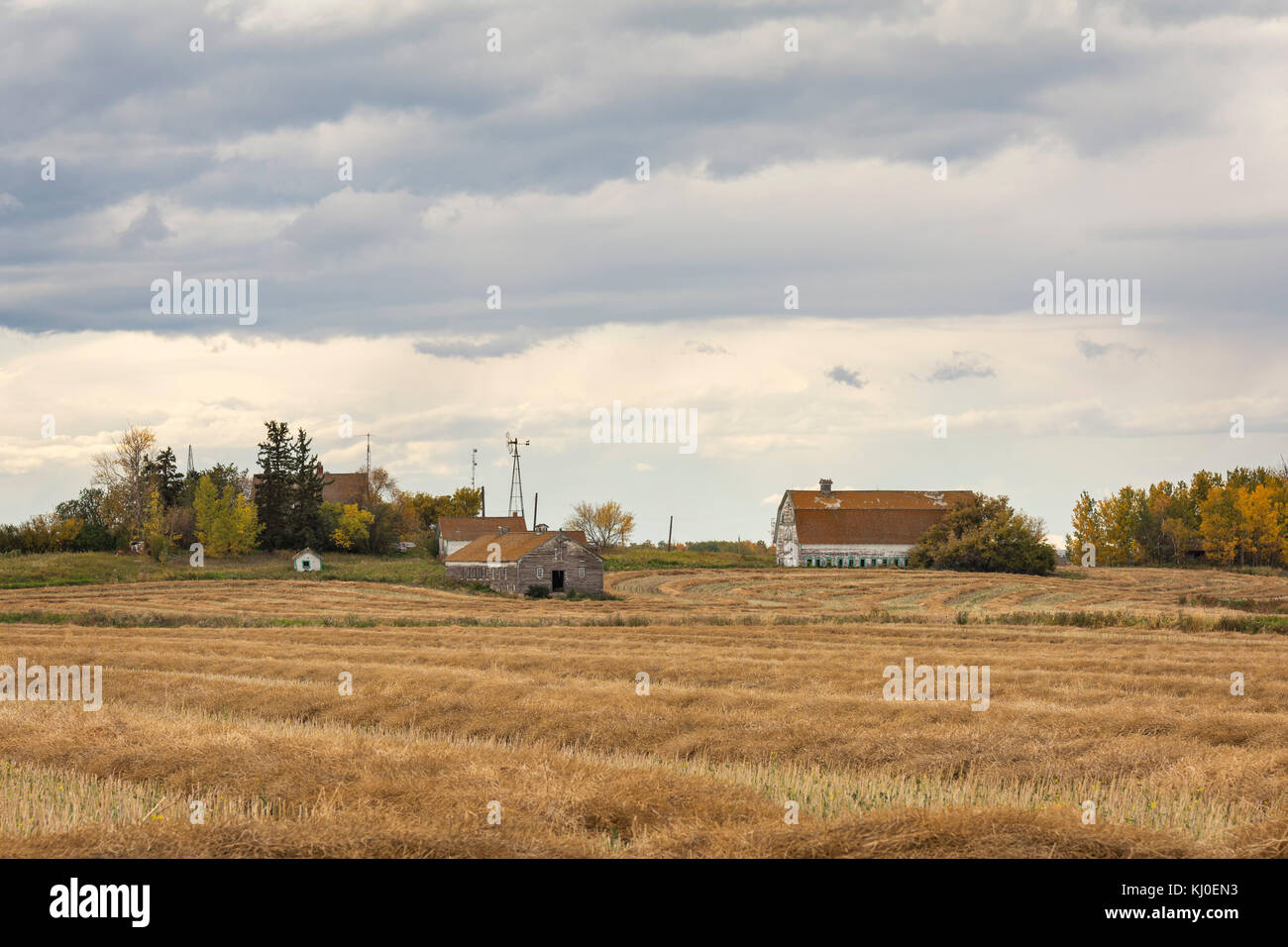 Ancienne ferme dans les prairies Banque D'Images