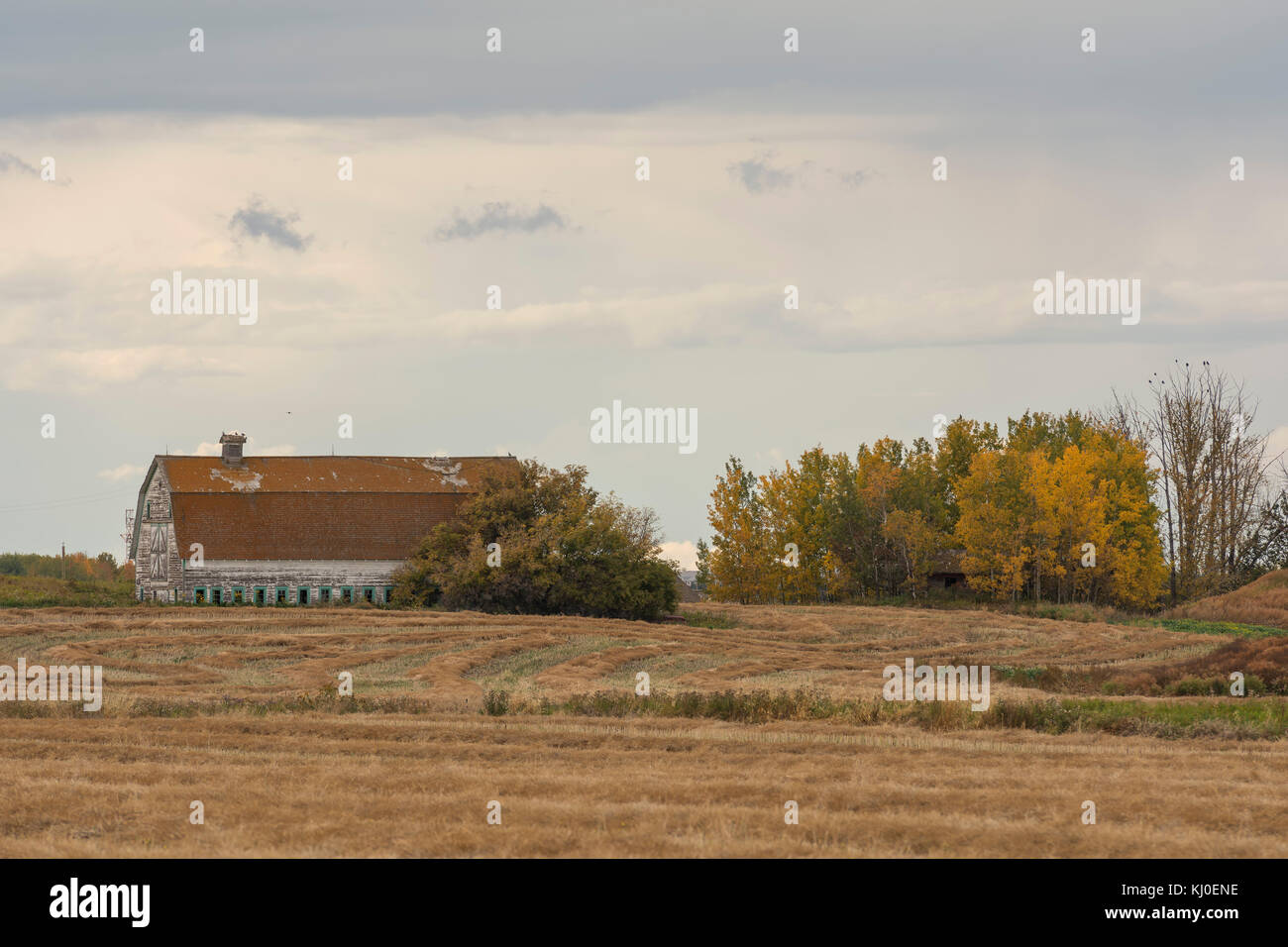Ancienne ferme dans les prairies Banque D'Images