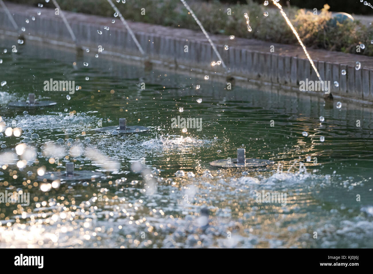 Des gouttes d'eau éclaboussant sur un étang dans les jardins Alcazar de los reyes católicos (Andalousie, Espagne). Banque D'Images