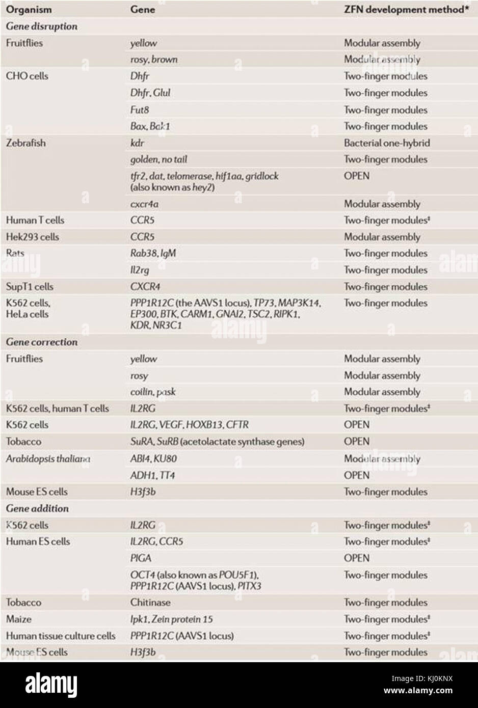 Cet article de recherche se concentre sur l'utilisation de nucléases modifiées pour cibler et modifier les gènes endogènes dans les organismes. L'étude explore les techniques de génie génétique et leurs applications potentielles en biotechnologie et en sciences médicales. Banque D'Images