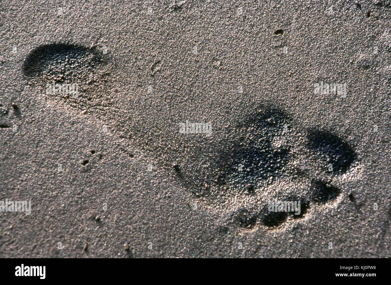 Pied humain imprimer dans le sable Banque D'Images