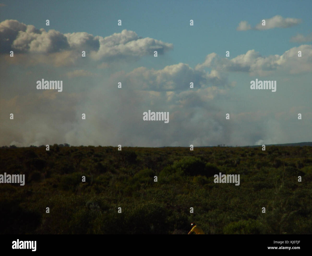 Sous les nuages de fumée de brousse Australie occidentale parc Tamala Banque D'Images