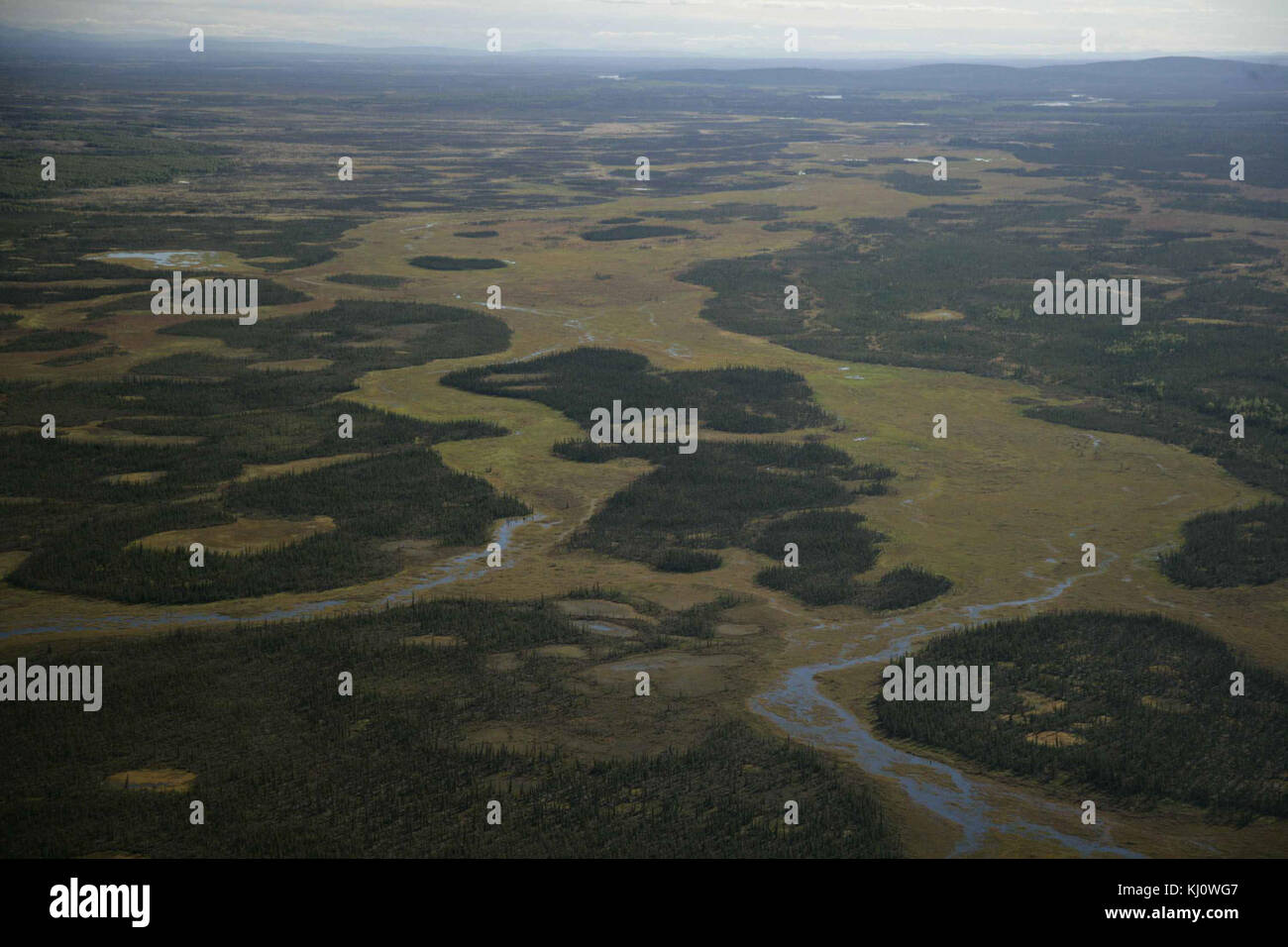 Parc Kanuti National Wildlife Refuge wetlands Banque D'Images