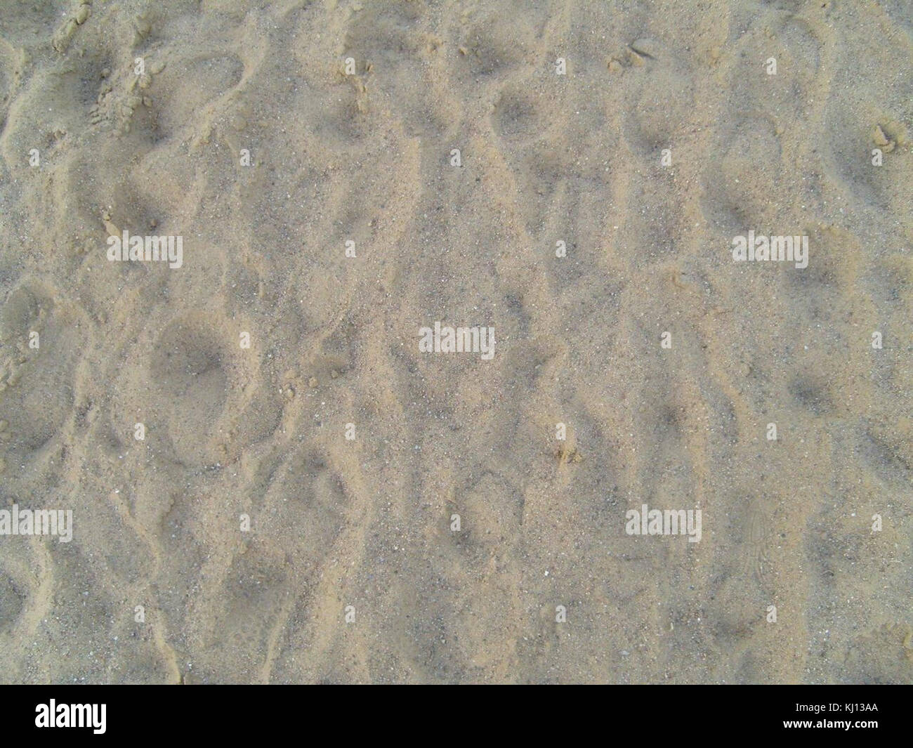 Le fond de sable fait référence à une représentation visuelle d'une surface sablonneuse, souvent utilisée en photographie, en design, ou encore La texture du sable fournit une toile de fond naturelle et neutre qui complète un large éventail de sujets, offrant un ton subtil et terreux à l'image. Banque D'Images