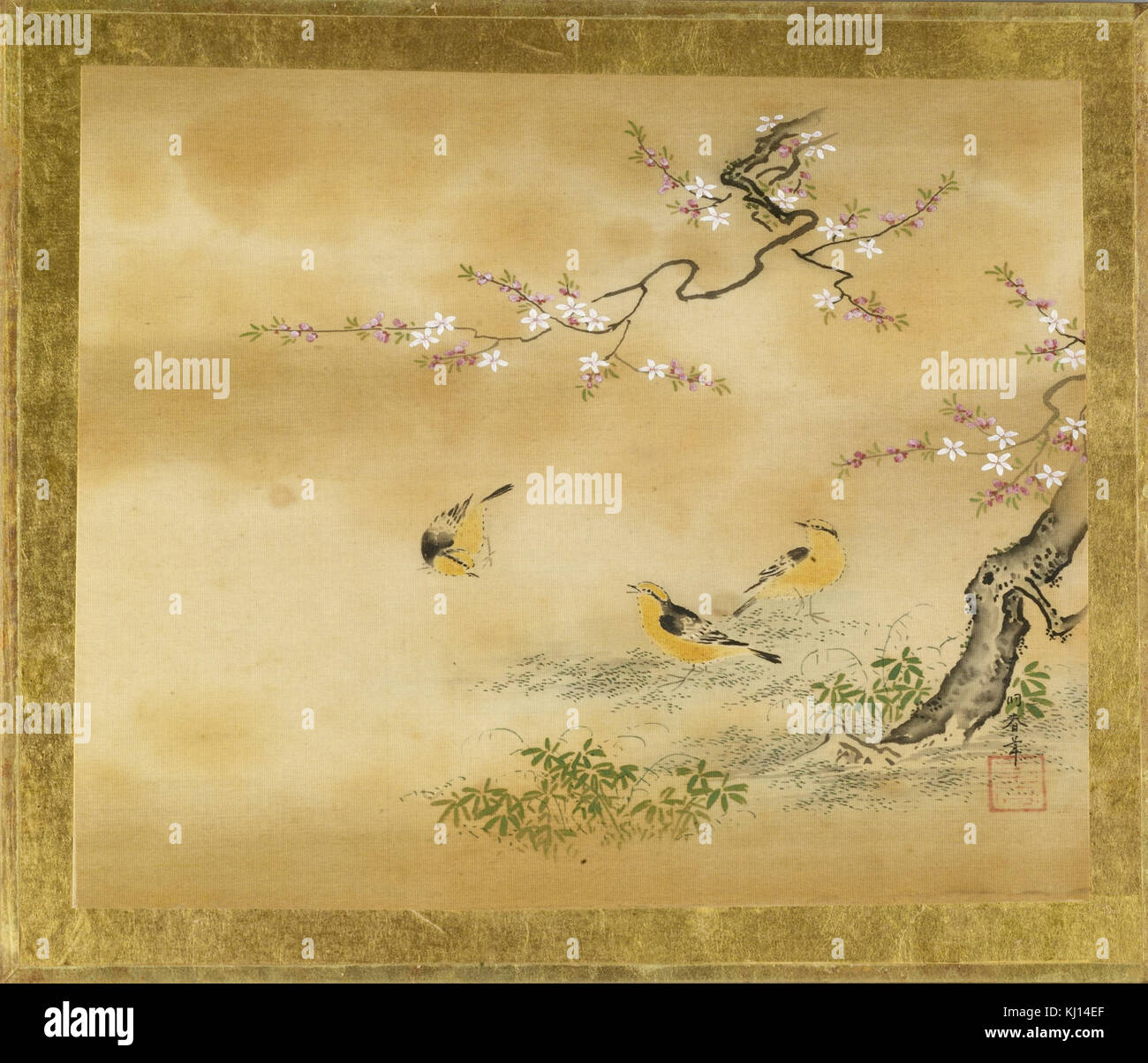 Œuvre d'art japonaise de Toshun représentant des oiseaux jaunes perchés près d'un pêcher en fleurs, reflétant les thèmes et la composition traditionnels de la nature. Banque D'Images Œuvre d'art japonaise de Toshun représentant des oiseaux jaunes perchés près d'un pêcher en fleurs, reflétant les thèmes et la composition traditionnels de la nature. Banque D'Images