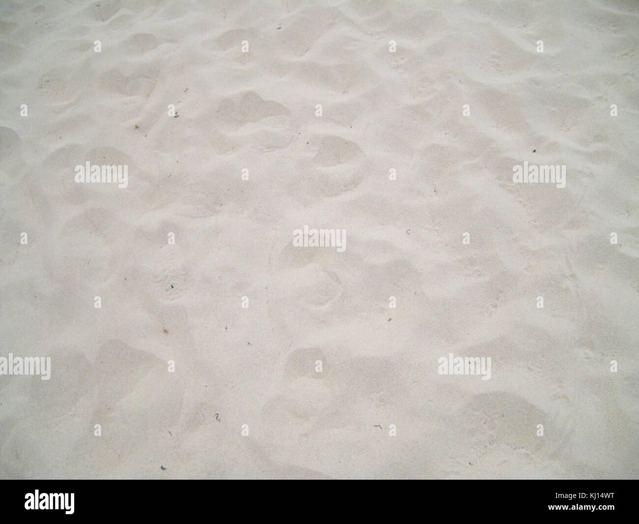 L'image présente une vaste étendue de sable blanc, soulignant la pureté et la beauté du paysage. La scène transmet un sentiment de calme et d'immensité, avec un minimum de distractions, en se concentrant sur l'environnement naturel. Banque D'Images