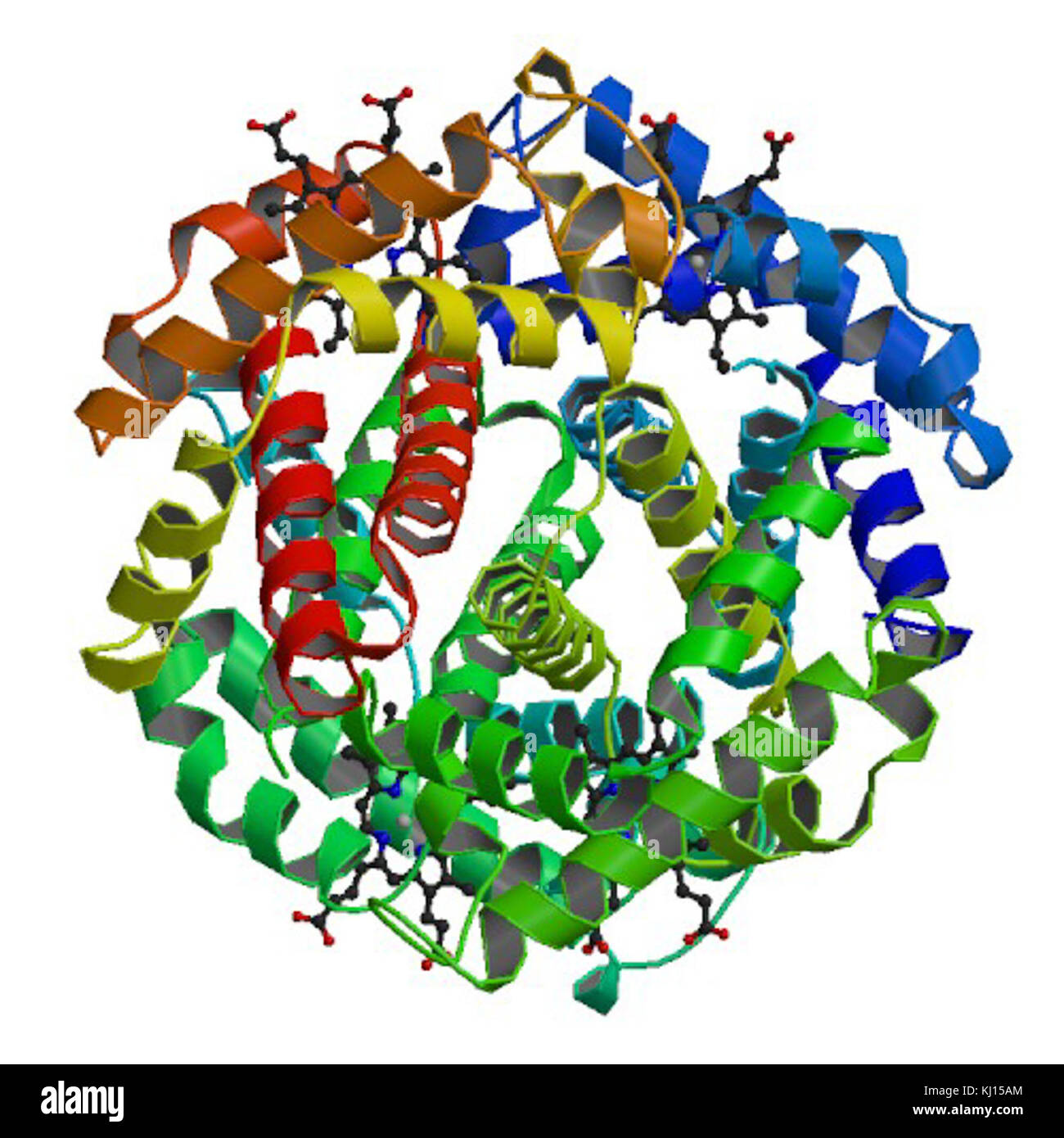 Image liée à la protéine PBB et HBB, illustrant potentiellement la structure moléculaire ou le rôle dans les processus biologiques, en particulier en relation avec les protéines. Banque D'Images