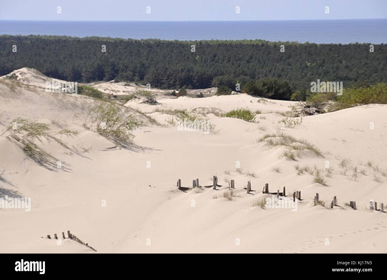 De Courlande1 Banque D'Images