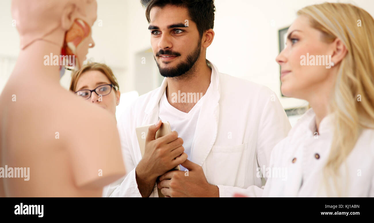 Les étudiants de médecine de l'examen de modèle anatomique en classe Banque D'Images