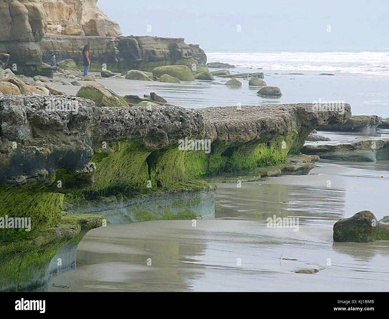Cette scène de plage présente des vagues de l'océan qui s'écrasent contre les rochers, avec de la mousse et du sable se mélangeant dans le paysage naturel. La combinaison de l'eau, des rochers et de la végétation crée un cadre côtier paisible et pittoresque. Banque D'Images