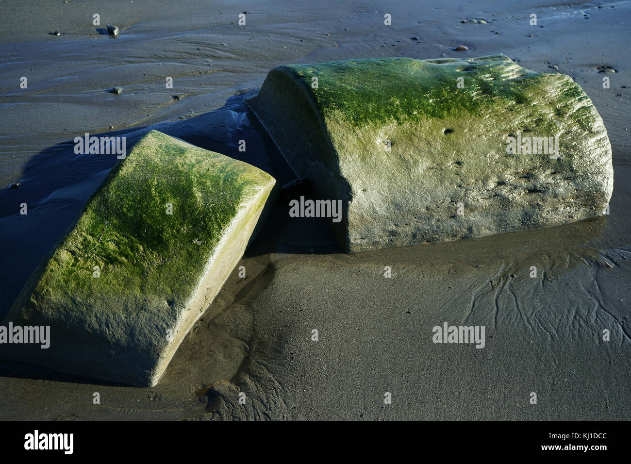 Rocher rond allongé divisé sur la plage de sable à marée de Cook Inlet, péninsule de Kenai, Alaska Banque D'Images
