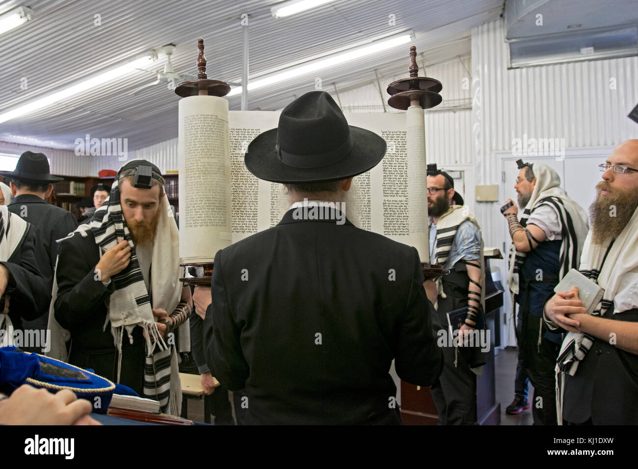 Un rabbin hassidique orthodoxe soulève une Torah après qu'il a été lu et la montre à la congrégation. Au Ohel de Cambria Heights, dans le Queens, New York. Banque D'Images