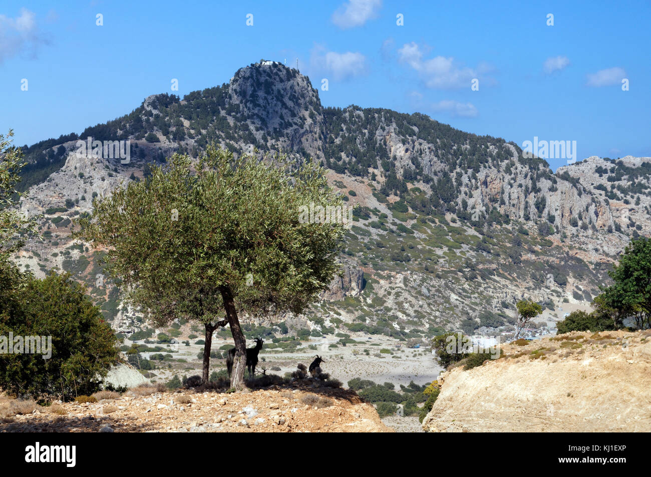 Monastère Tsambika, haut perchée sur une colline au-dessus de la baie de Tsambika, Rhodes, Grèce. Banque D'Images