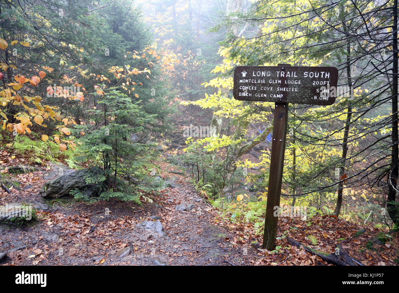 Long Trail sign, Camel's Hump, VT, USA Banque D'Images