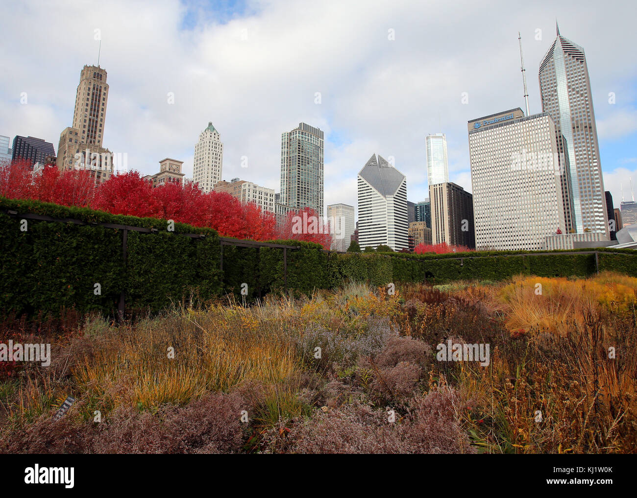 Couleurs d'automne et le feuillage, vu de l'lurie garden à Millennium Park de Chicago, Illinois, UNITED STATES. Banque D'Images