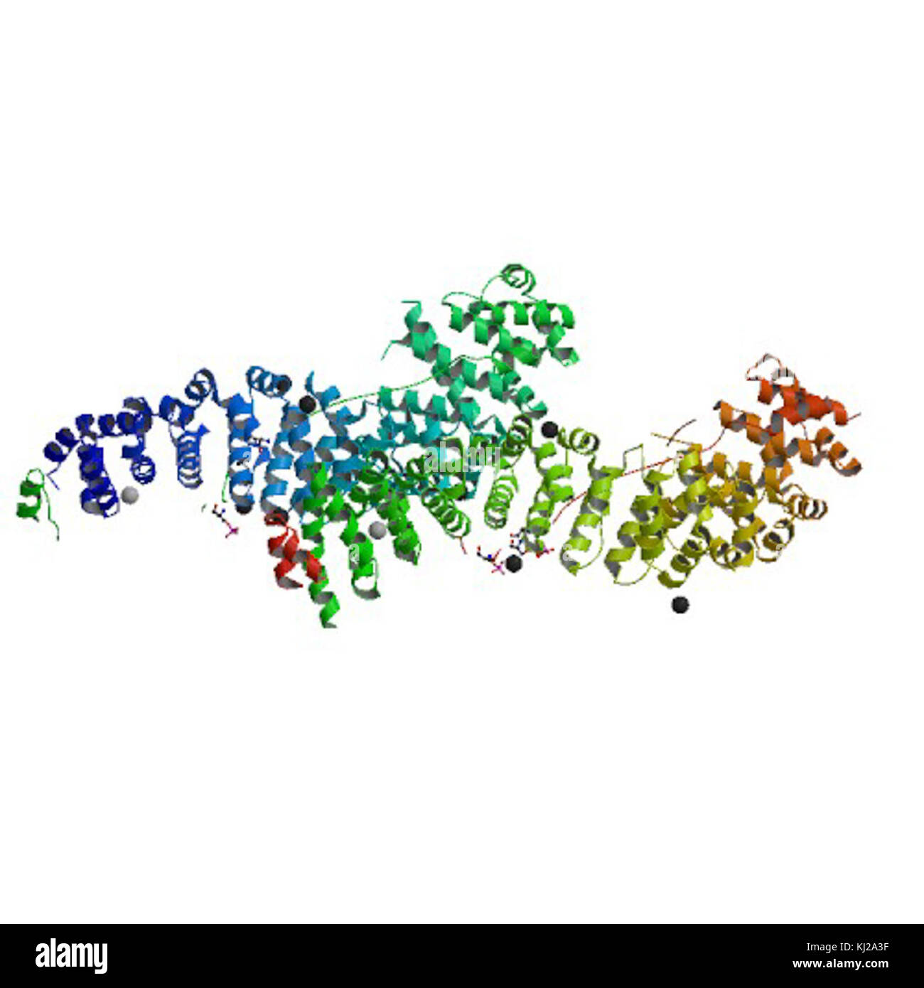 Cette image montre la protéine PBB CDH1, un composant clé dans les fonctions et les processus cellulaires. CDH1 est essentiel pour maintenir la structure cellulaire et est lié à diverses maladies. Banque D'Images