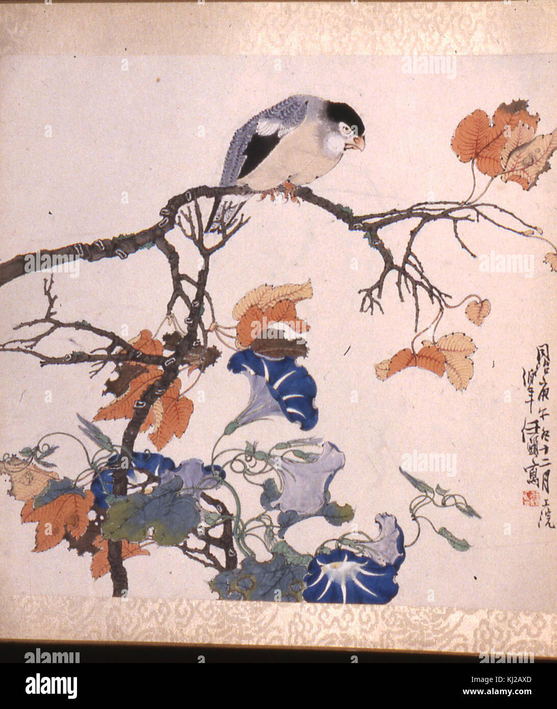 Ren Bonian - oiseau sur branche d'érable avec des gloires du matin - Walters 35101J Banque D'Images Ren Bonian - oiseau sur branche d'érable avec des gloires du matin - Walters 35101J Banque D'Images