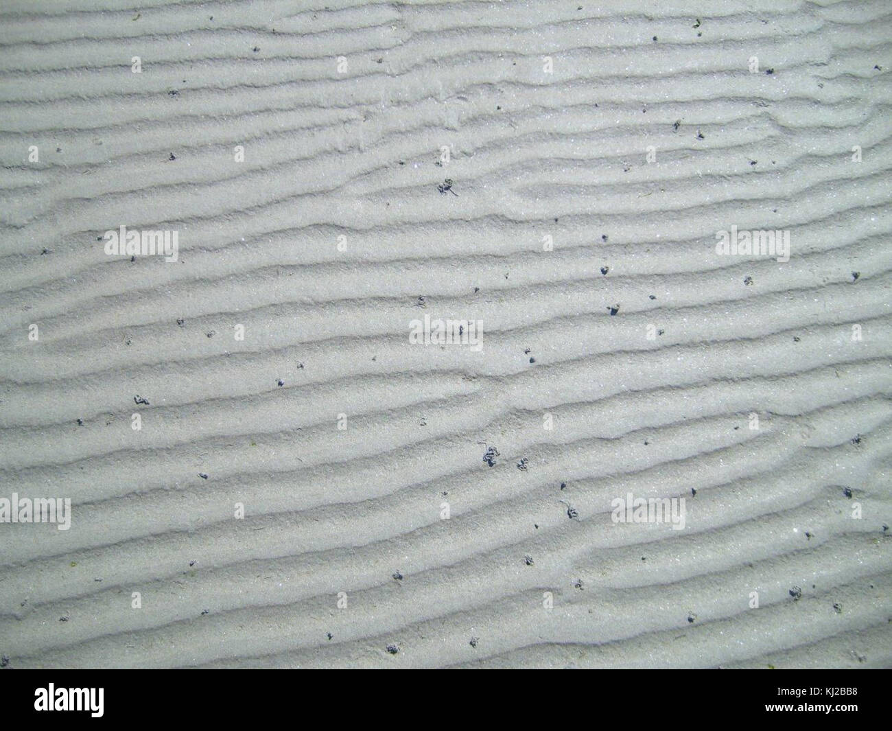 La plage de sable Banque D'Images