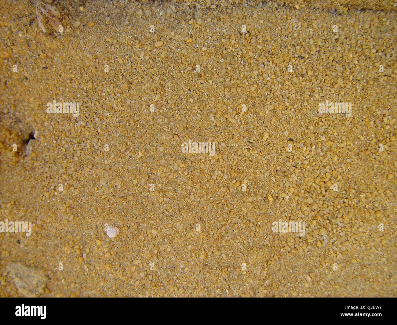 Jaune Sable grossier Banque D'Images