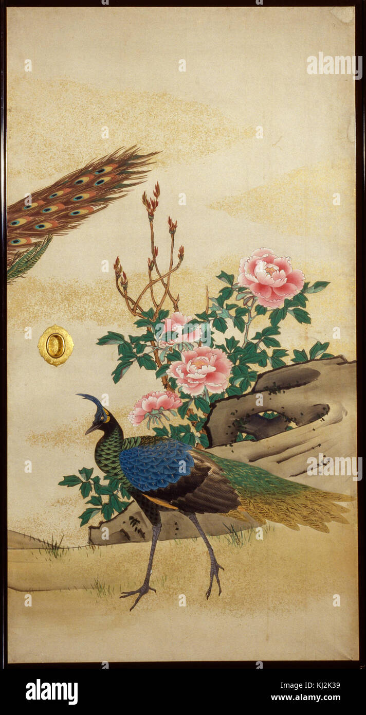 Mori Ippo - Peacock et Peahen avec Chick et de pivoines - Walters 35156, 35157, 35158, 35159 (2) (3) Banque D'Images