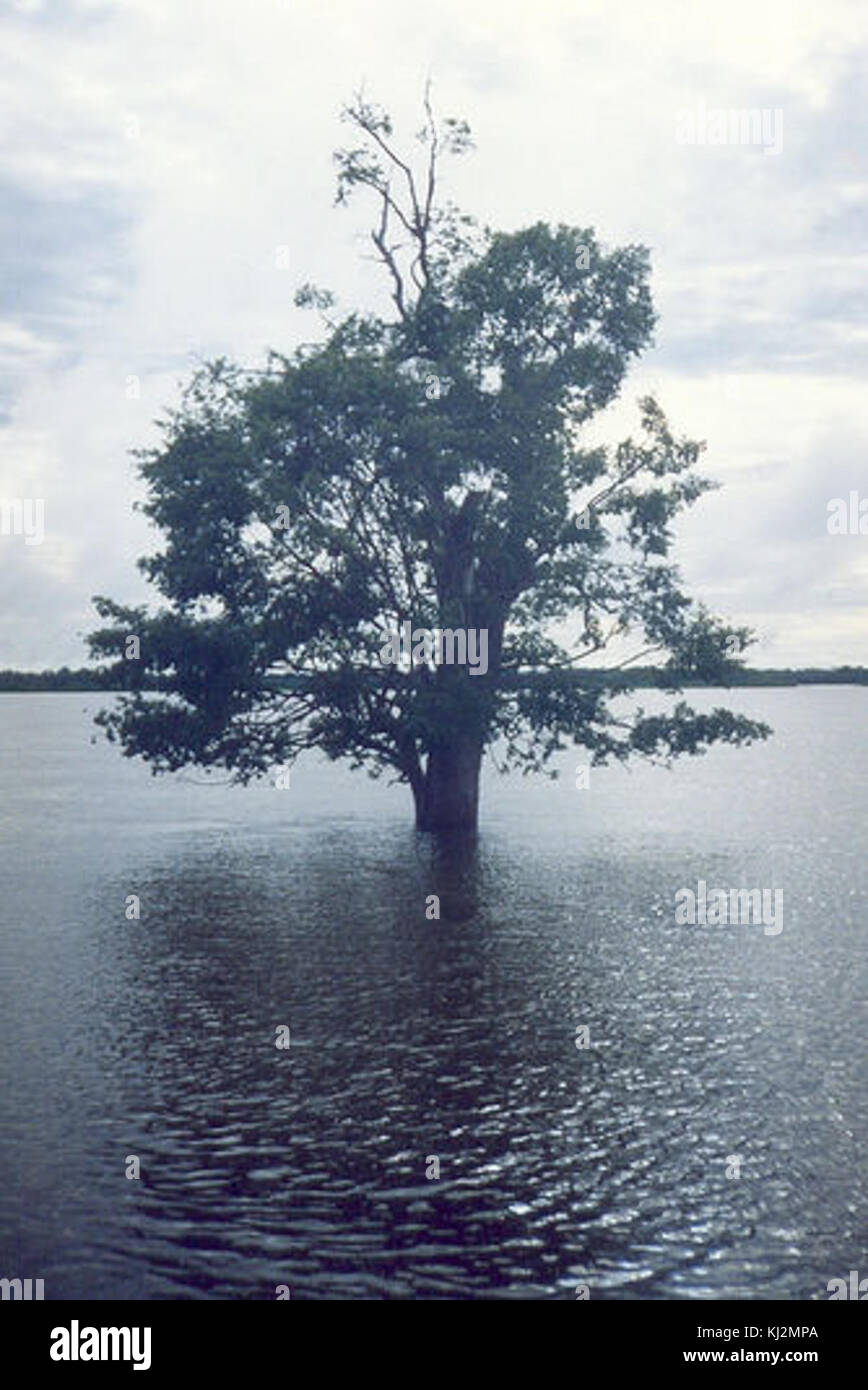 Rio araguaia Banque D'Images