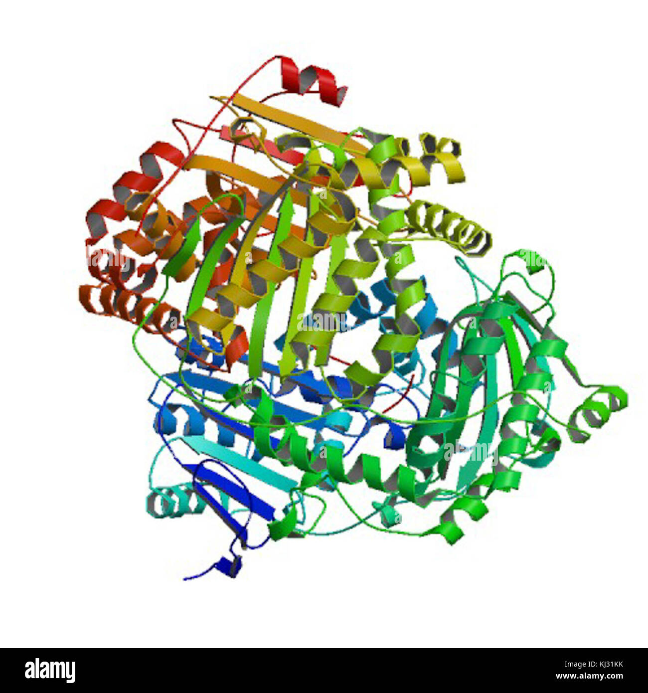 Cette image représente le PBB (protéine liée) IAPP (polypeptide amyloïde Islet), une protéine impliquée dans le diabète et les maladies métaboliques. L'image représente une importante recherche biomédicale sur ces protéines et leur impact sur la santé. Banque D'Images