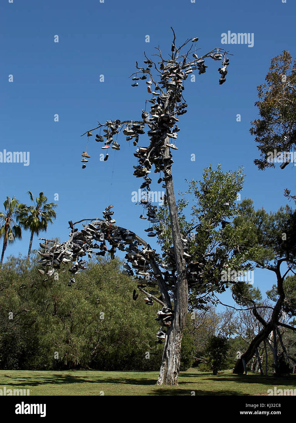 Cette image montre une caille, un petit gibier à plumes, capturé dans un cadre naturel, soulignant ses caractéristiques distinctives telles que son plumage et la forme de son corps. Banque D'Images