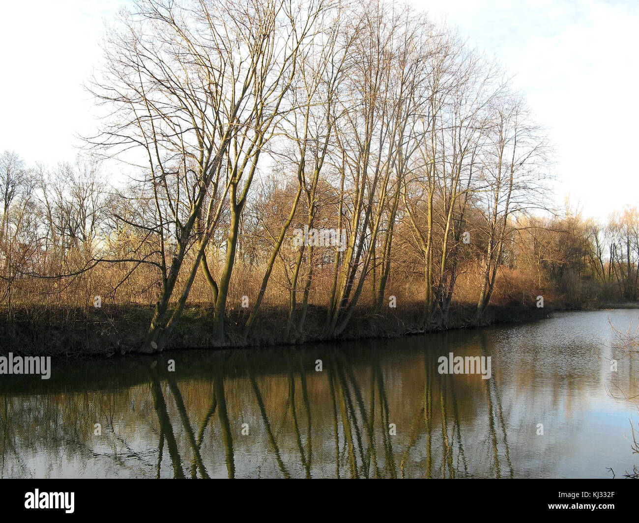 Shore (1) Banque D'Images