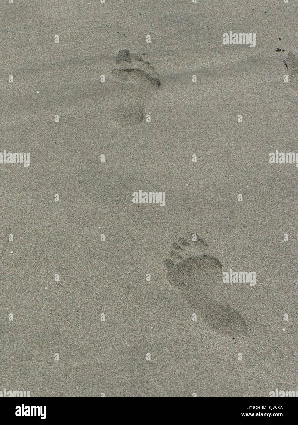 Des empreintes de pas dans le sable (1) Banque D'Images
