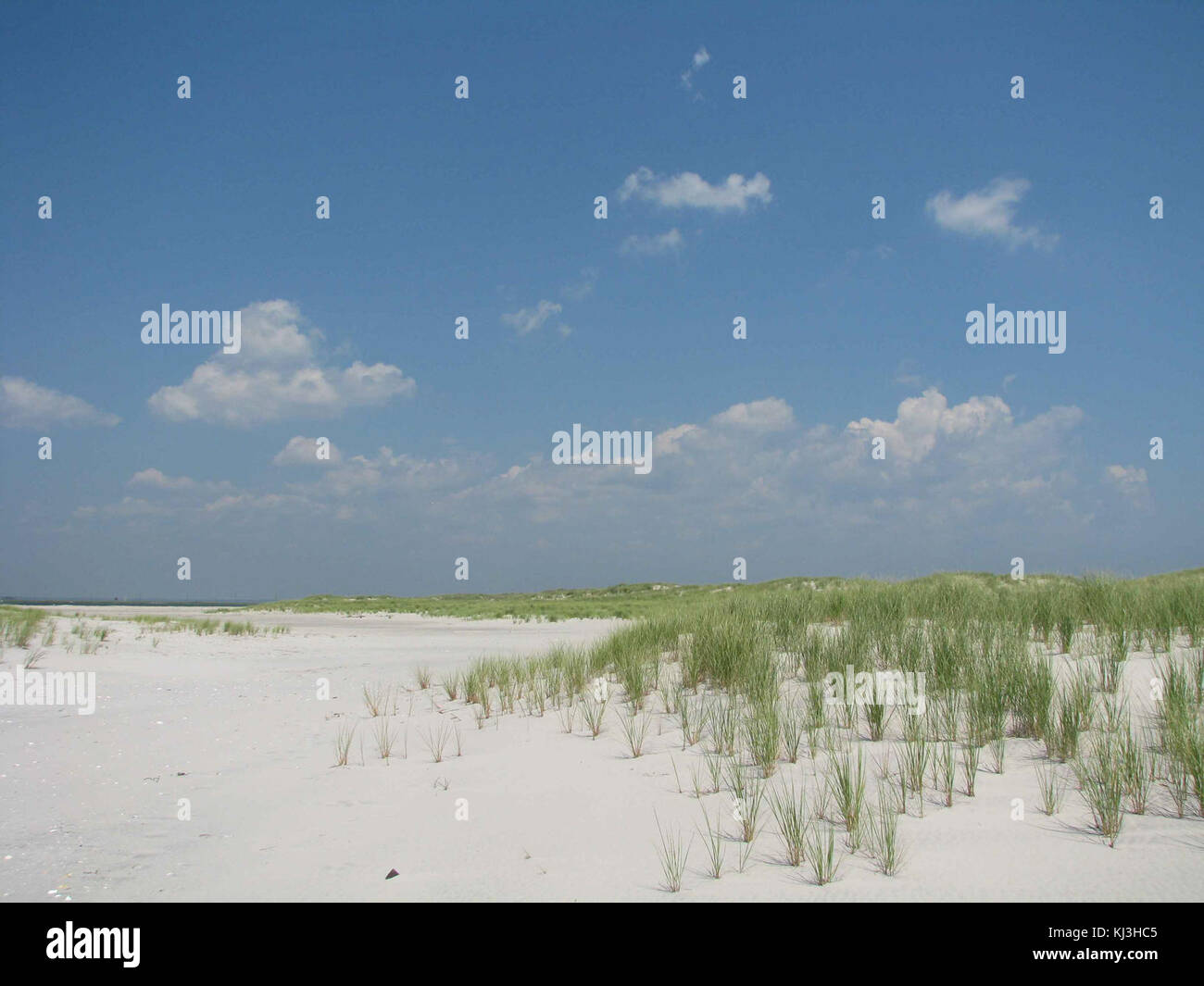Plage de sable blanc avec de l'herbe verte petite Banque D'Images