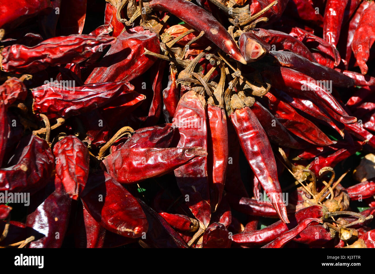 Piments rouges séchés, full frame background Banque D'Images