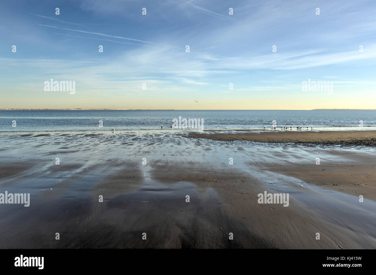 Mouettes sur la plage de Brighton et plage de Coney Island, New York, également connu sous le nom de Little Odessa en hiver. Banque D'Images