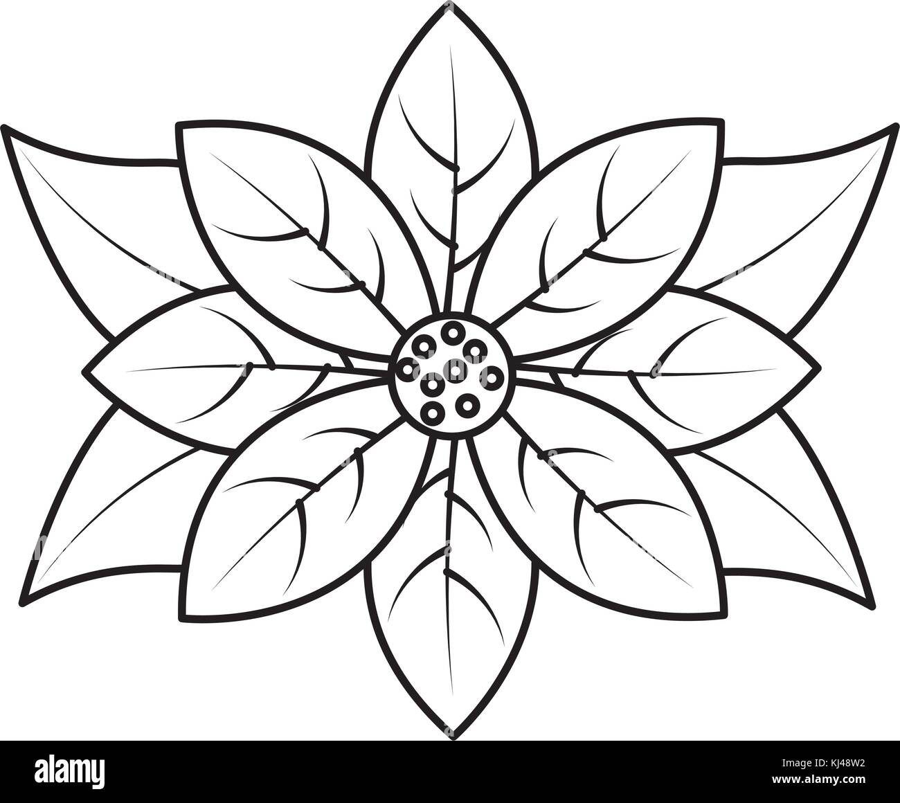 Poinsettia fleur pour noël décoration natural Illustration de Vecteur