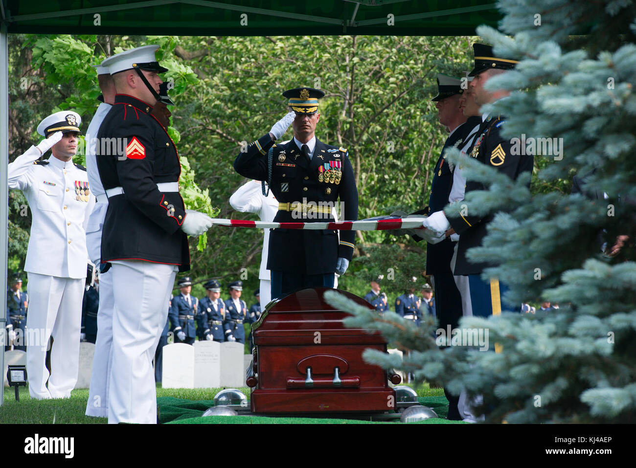 Tous les honneurs militaires conjointes de services funéraires de l'ancien secrétaire à la défense Melvin Laird (33921438744) Banque D'Images