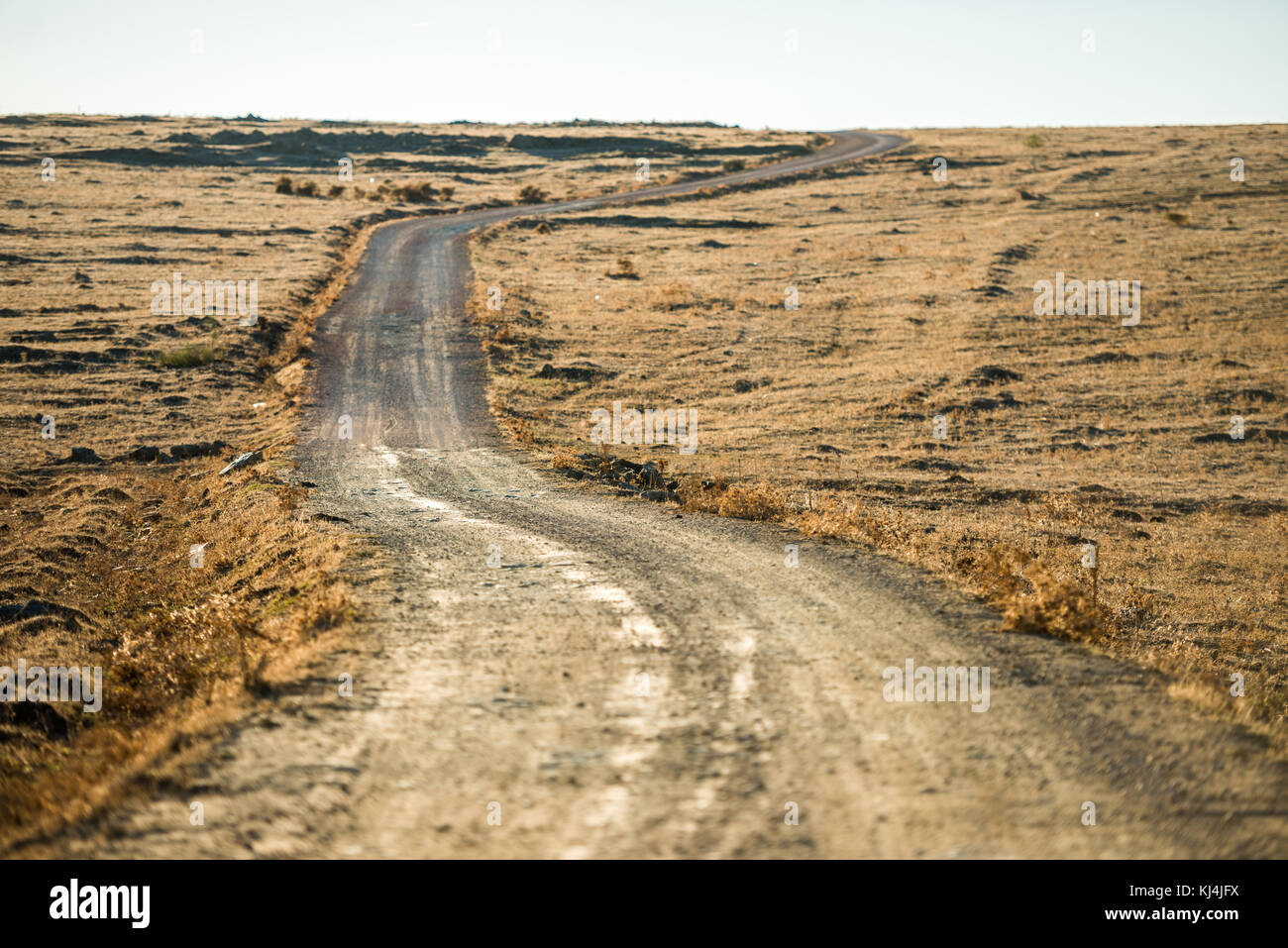 Détail d'une route poussiéreuse qui traverse une zone de steppe à Cáceres, Extremadura, Espagne à l'heure golde (coucher du soleil). Banque D'Images