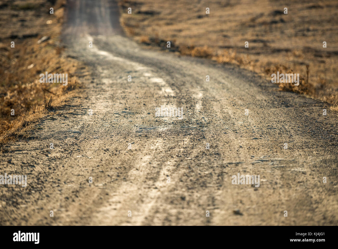 Détail d'une route poussiéreuse qui traverse une zone de steppe à Cáceres, Extremadura, Espagne à l'heure golde (coucher du soleil). Banque D'Images