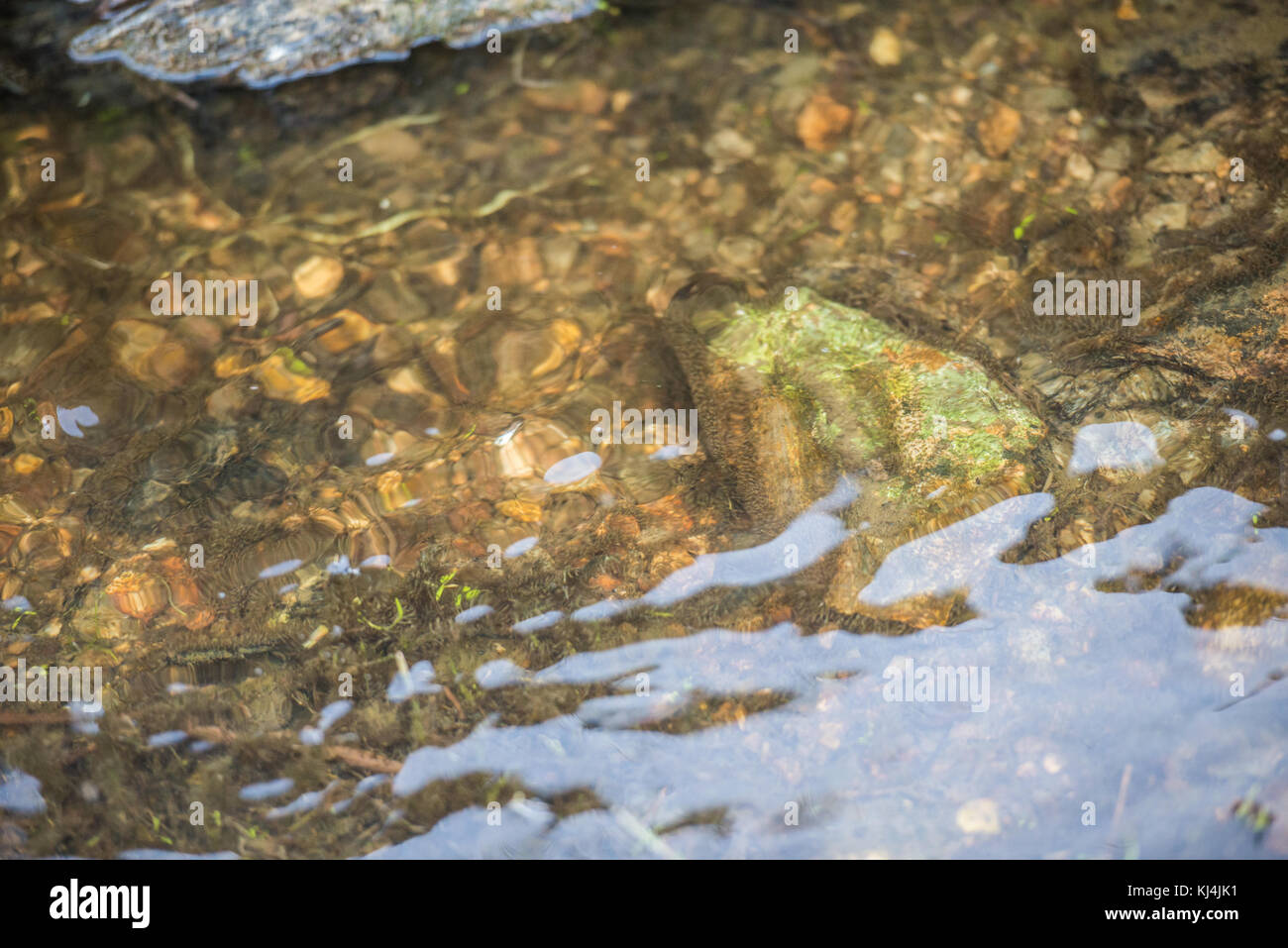 Détail de l'eau limpide de couler le long de la rivière Guadiloba, Cáceres, Extremadura, Espagne. Banque D'Images