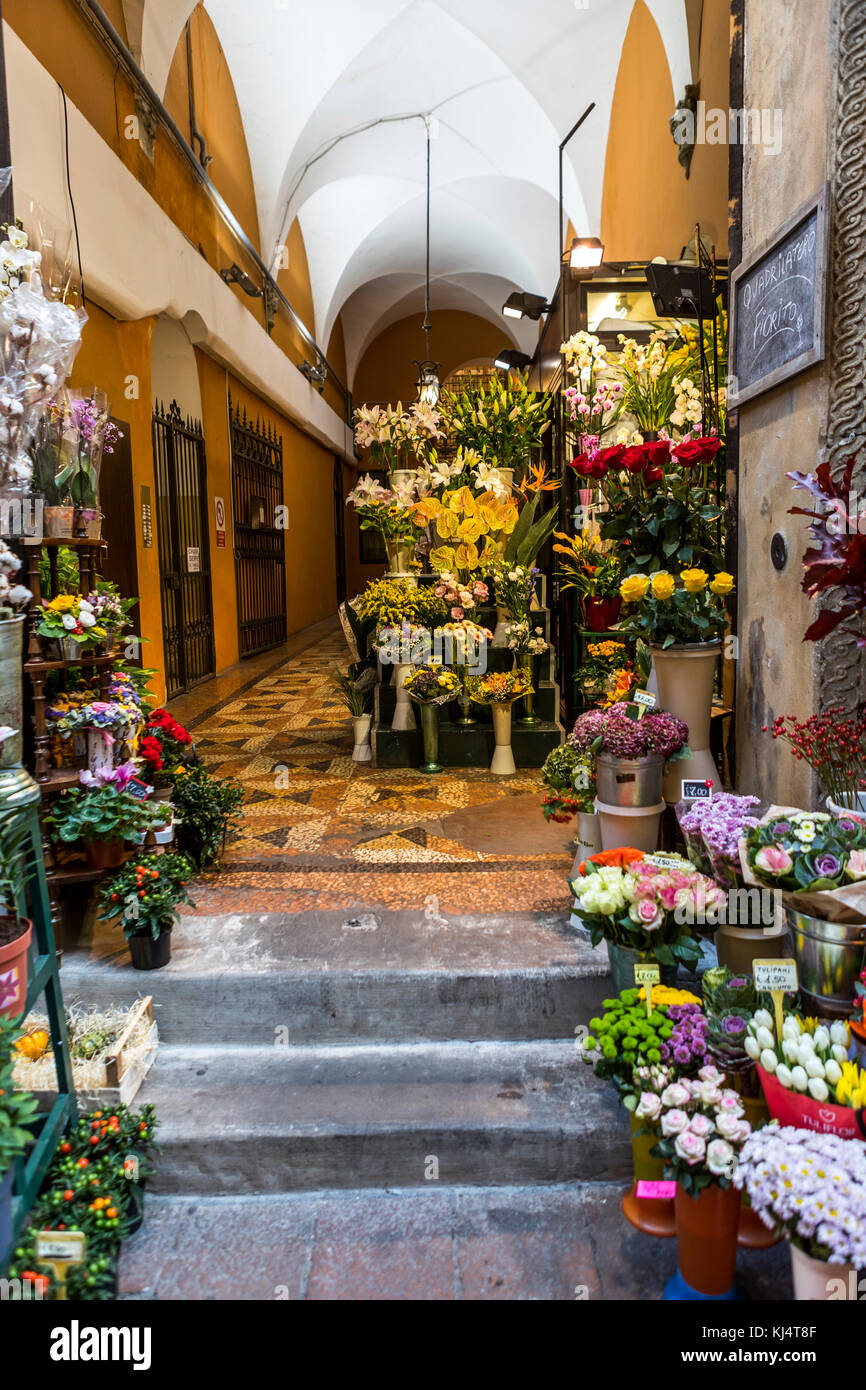 Fleurs colorées à vendre à Visone Chiara florist sur Via Drapperie. La vie de la ville de Bologne, en Italie. Banque D'Images