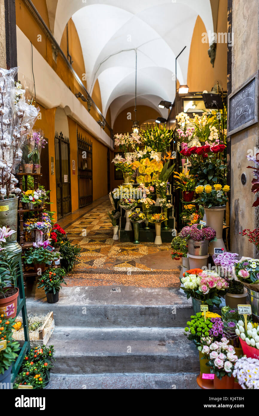 Fleurs colorées à vendre à Visone Chiara florist sur Via Drapperie. La vie de la ville de Bologne, en Italie. Banque D'Images
