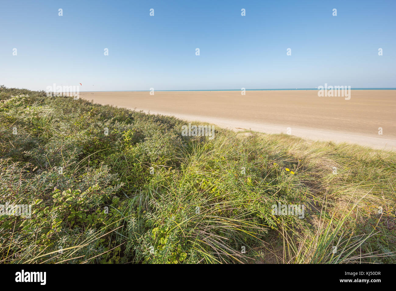 Une plage immense presque vide baguées avec dunes de sable de l'oye plage Banque D'Images