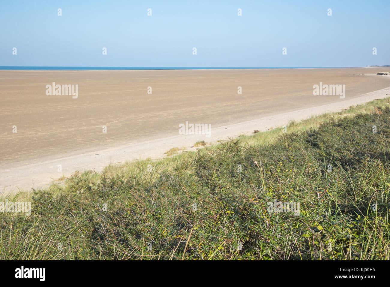 Une plage vide aussi loin que l'on peut voir baguées avec dunes de sable de l'oye plage Banque D'Images