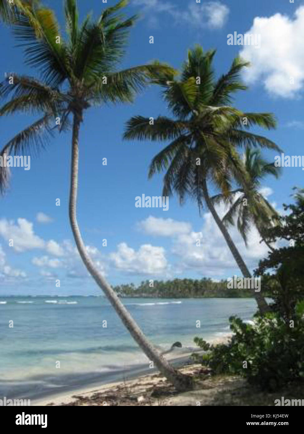Playa Las Galeras Banque D'Images