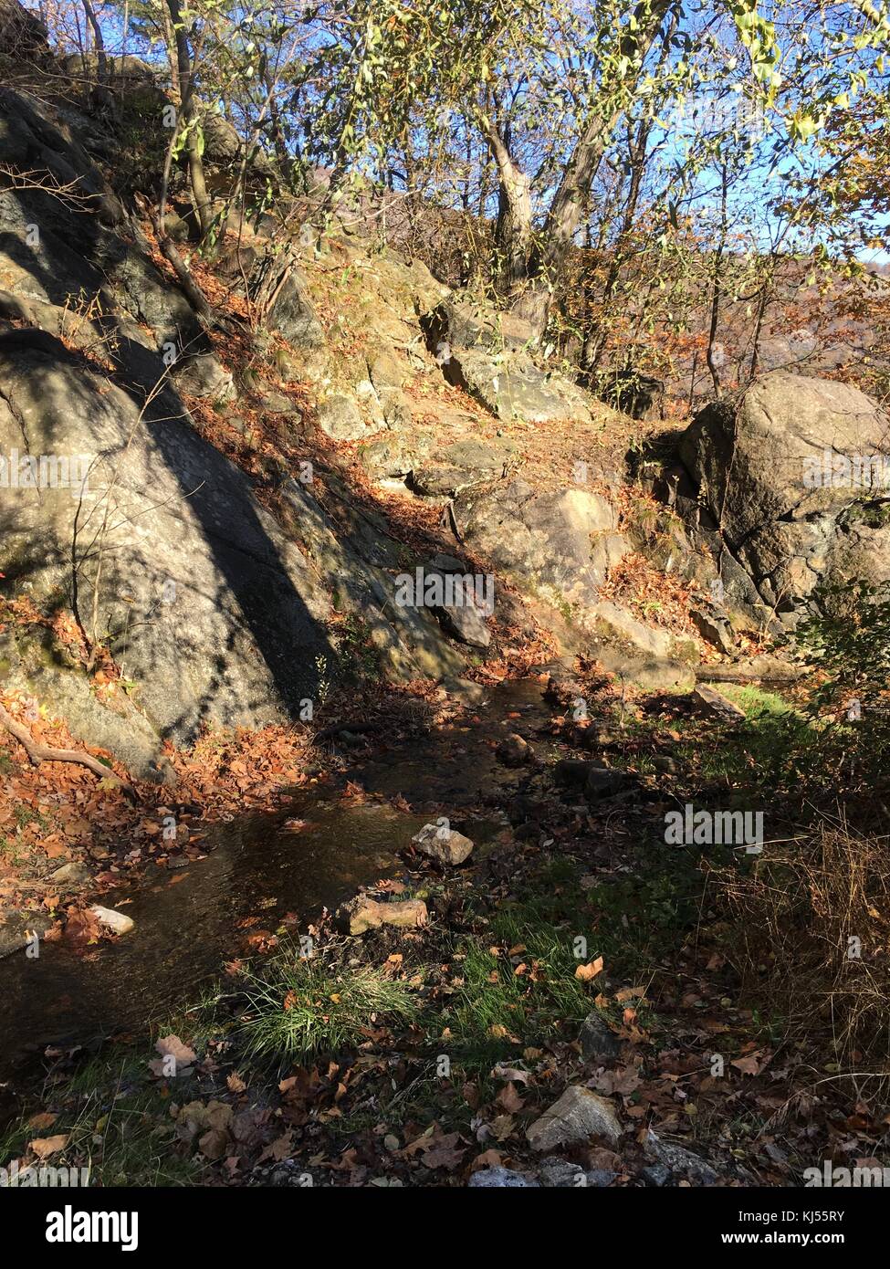 Feuillage d'automne et une belle vue, à trailside parc d'état de Bear Mountain Banque D'Images