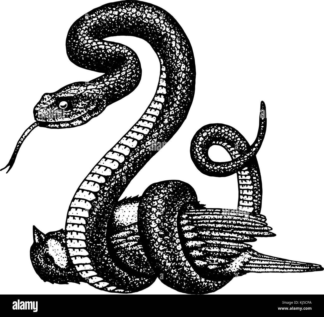 Serpent serpent viper. cobra et python, anaconda ou viper, royal. gravé à la main dans de vieux croquis, vintage style pour autocollant et tatouage. ophidian et ASP. Illustration de Vecteur