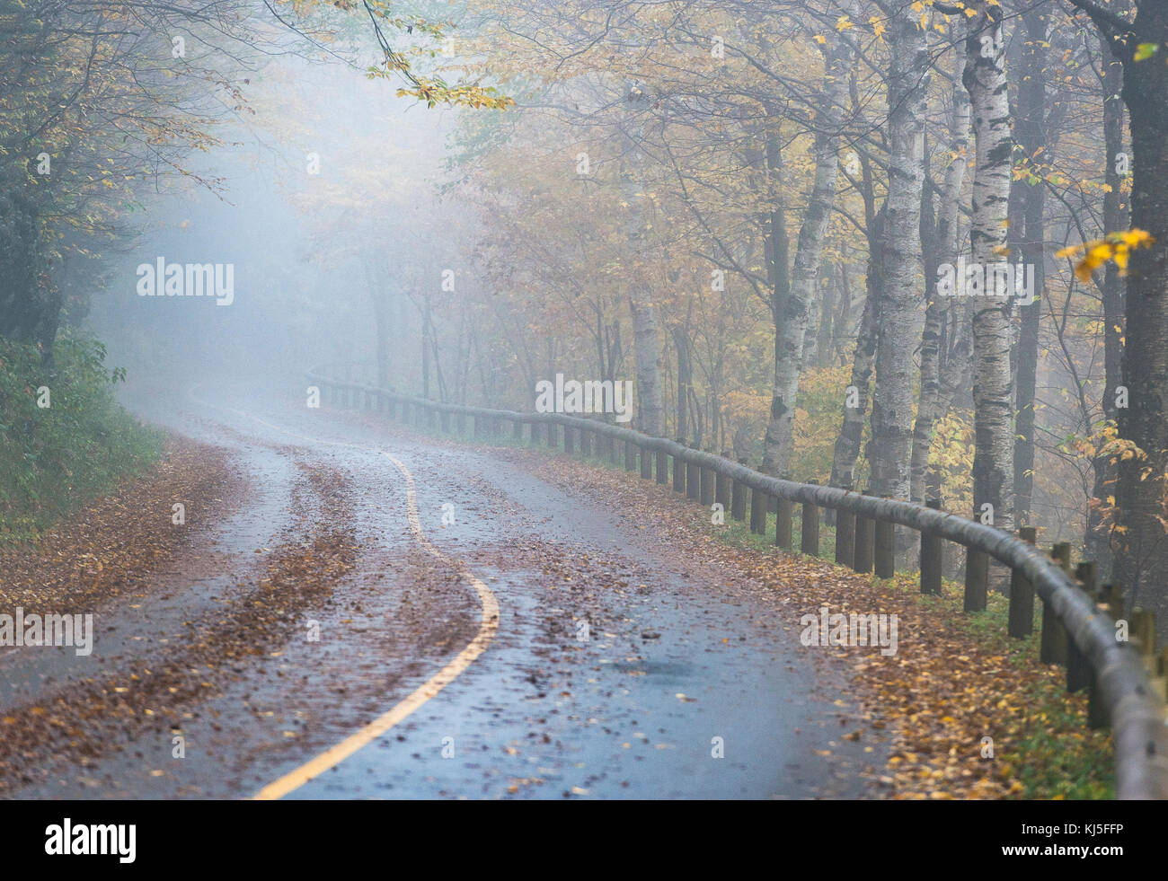 Chemin rural, à l'automne mist dans le Massachusetts, aux États-Unis. Banque D'Images