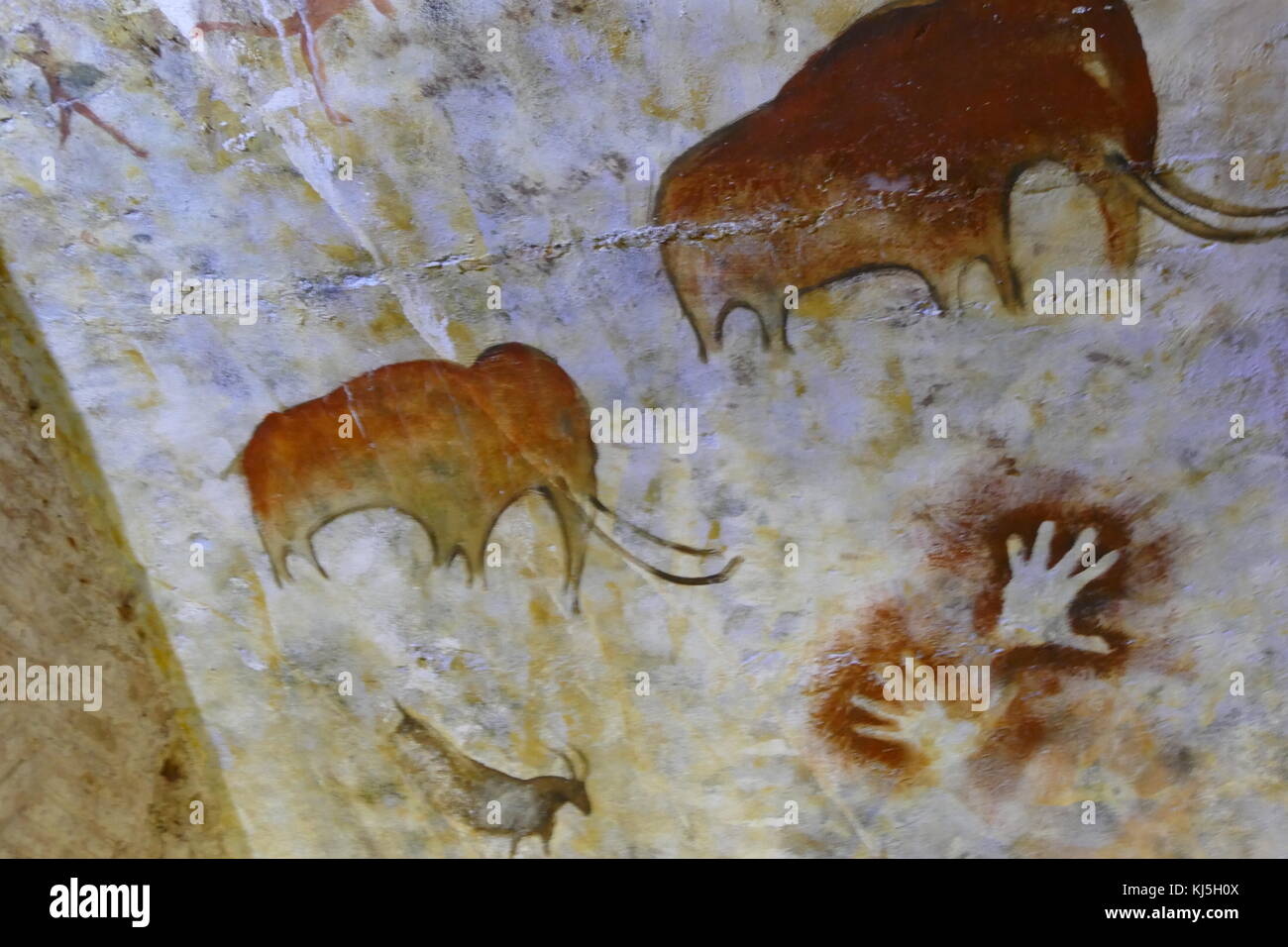 Peinture de réplique de la grotte d'Altamira (Cueva de Altamir) situé près de la ville historique de Santillana del Mar en Cantabrie, Espagne, est réputé pour ses nombreuses peintures pariétales avec des dessins au fusain et peintures polychromes de la faune locale et la main de l'homme, créé entre 18 500 et 14 000 ans pendant le paléolithique supérieur par Paleo colons humains. Les premières peintures rupestres de la grotte ont été exécutés autour de 35 600 ans. Banque D'Images