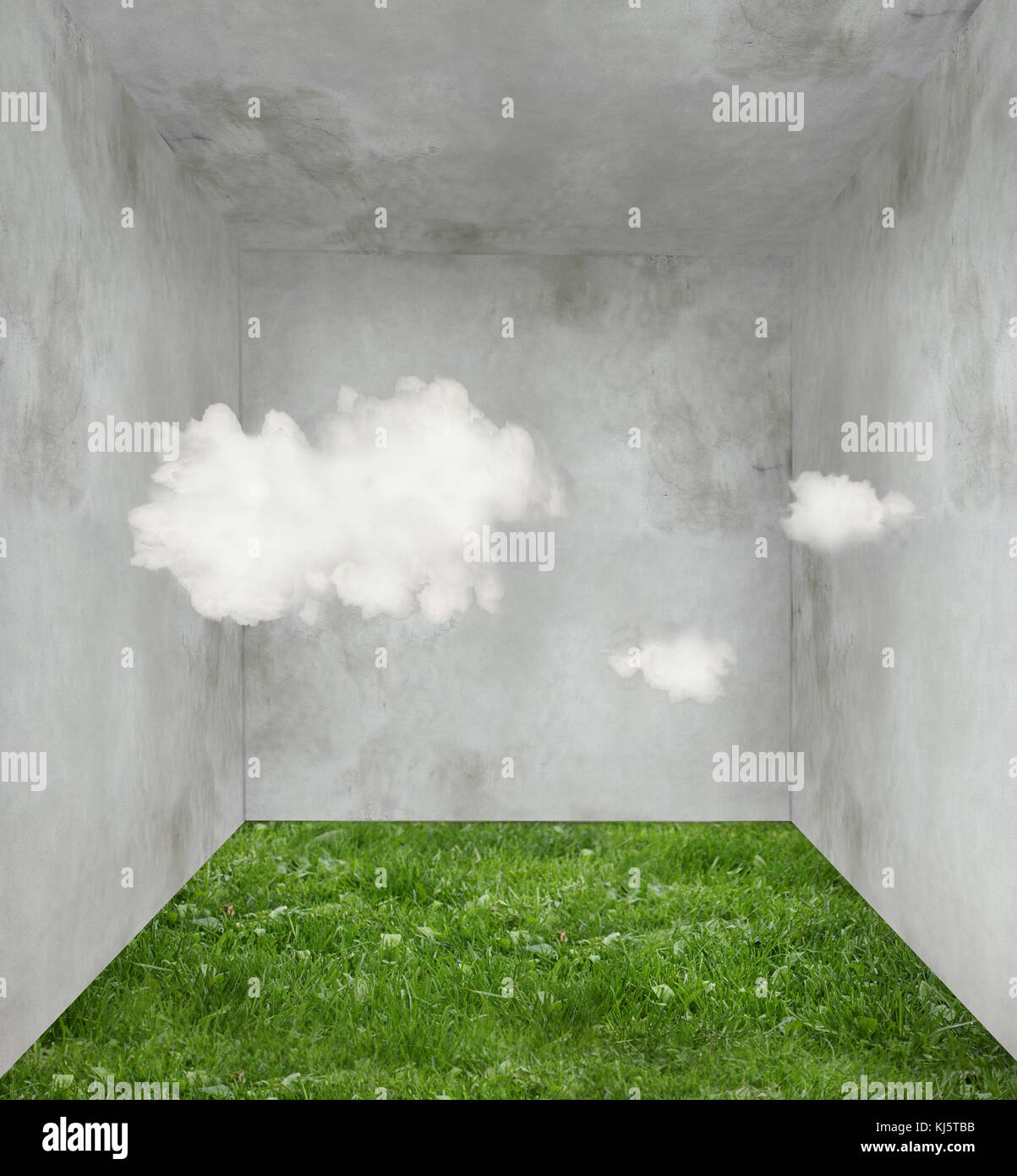 Prix surréaliste avec de l'herbe sur le sol et trois à l'intérieur de nuages Banque D'Images